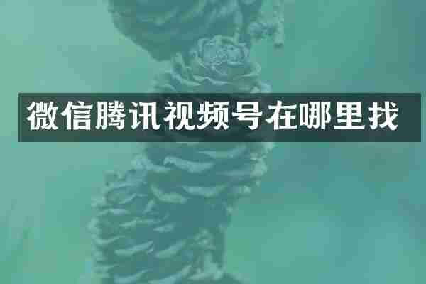 微信腾讯视频号在哪里找