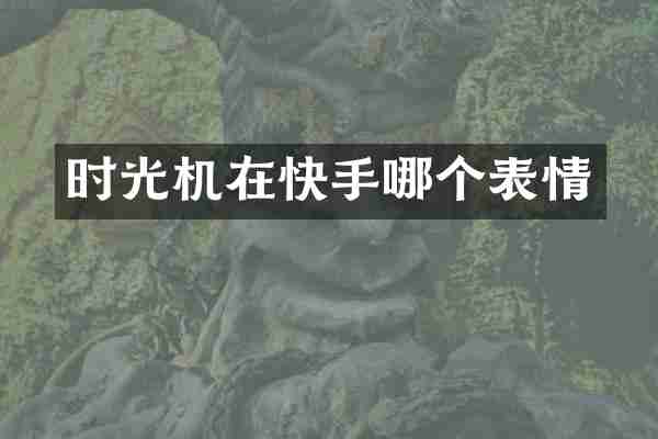 时光机在快手哪个表情