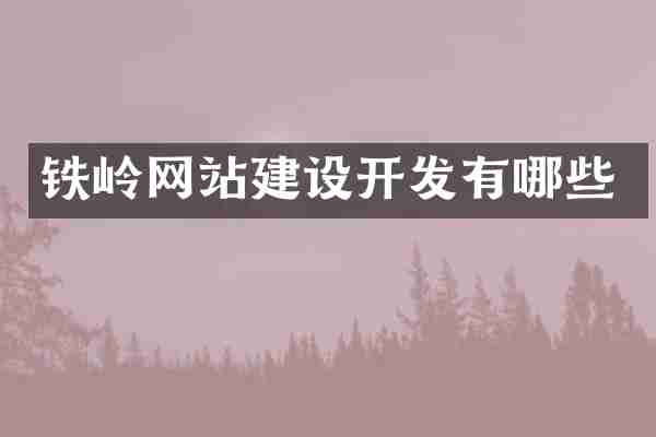 铁岭网站建设开发有哪些