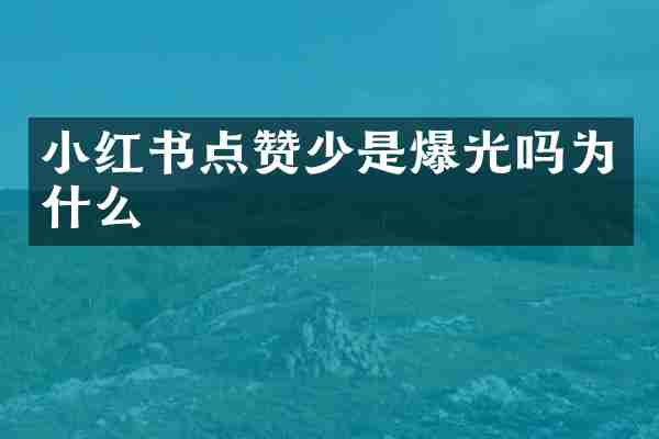 小红书点赞少是爆光吗为什么
