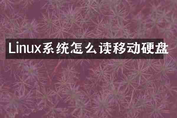 Linux系统怎么读移动硬盘