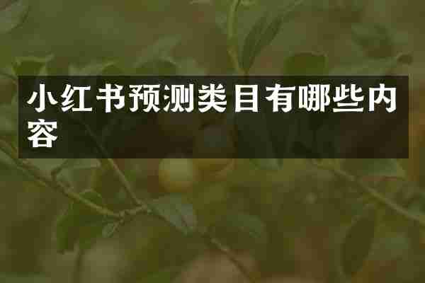 小红书预测类目有哪些内容