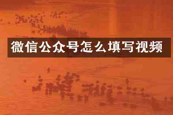 微信公众号怎么填写视频