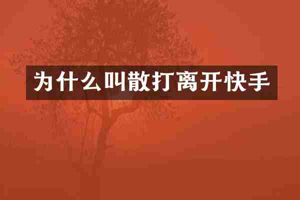 为什么叫散打离开快手