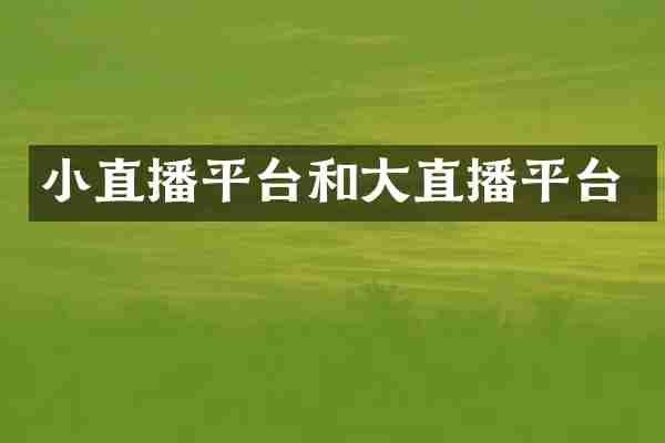 小直播平台和大直播平台