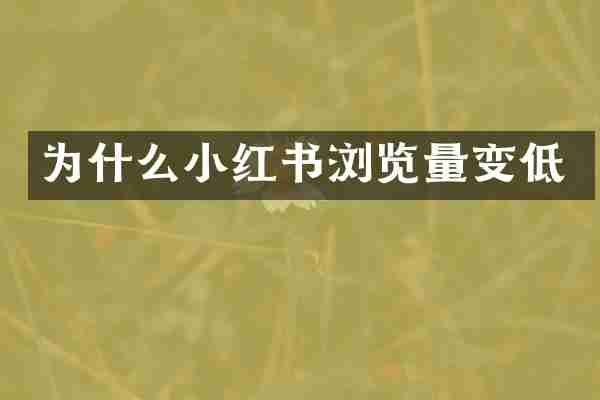 为什么小红书浏览量变低
