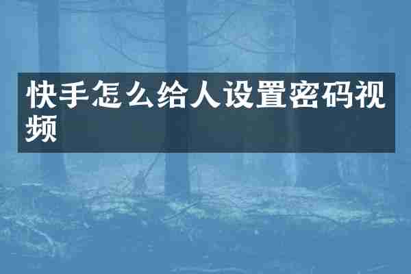 快手怎么给人设置密码视频