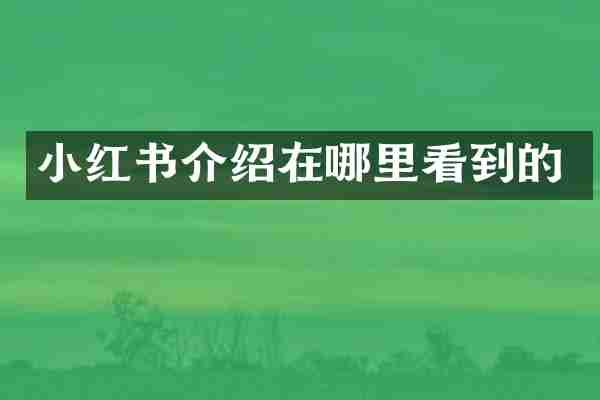小红书介绍在哪里看到的