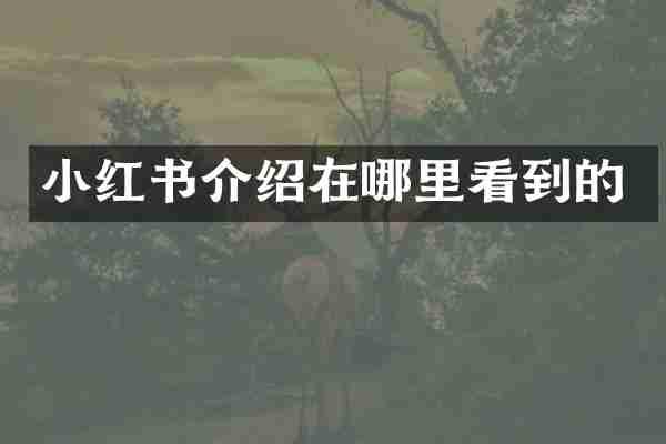 小红书介绍在哪里看到的