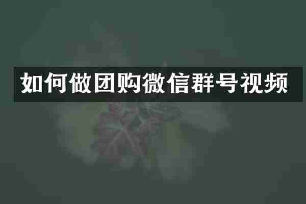 如何做团购微信群号视频