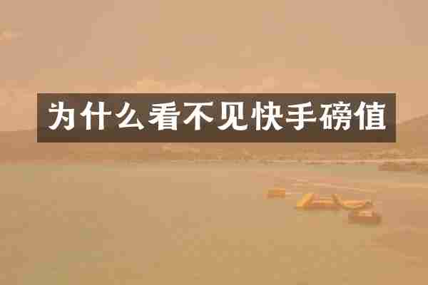 为什么看不见快手磅值