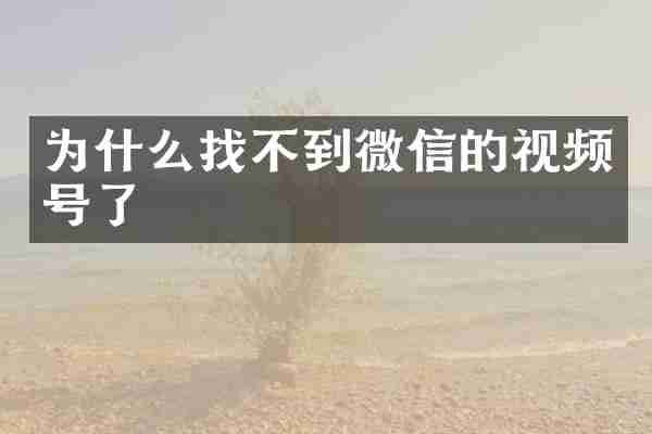 为什么找不到微信的视频号了