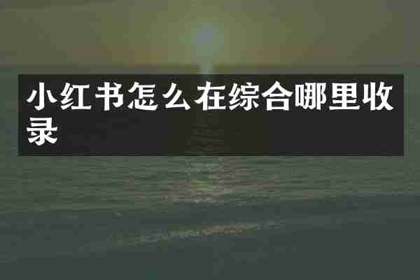 小红书怎么在综合哪里收录