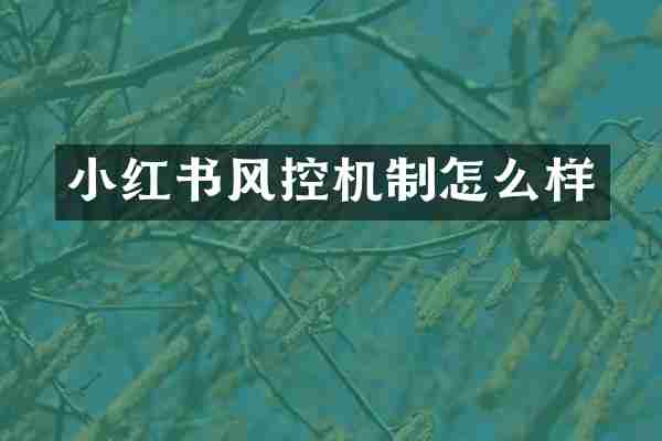 小红书风控机制怎么样