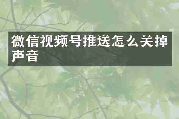 微信视频号推送怎么关掉声音