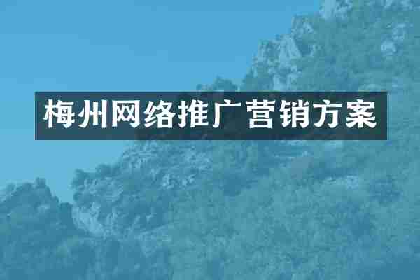 梅州网络推广营销方案