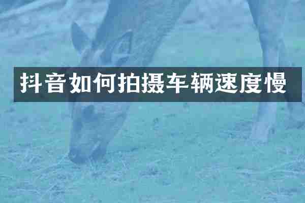 抖音如何拍摄车辆速度慢