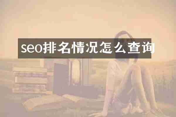 seo排名情况怎么查询