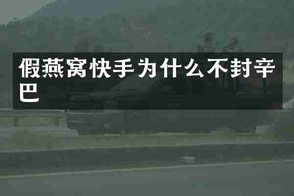 假燕窝快手为什么不封辛巴