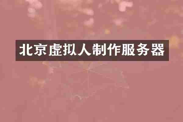 北京虚拟人制作服务器