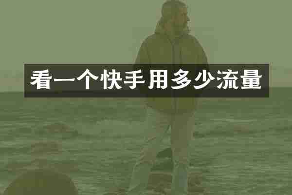 看一个快手用多少流量