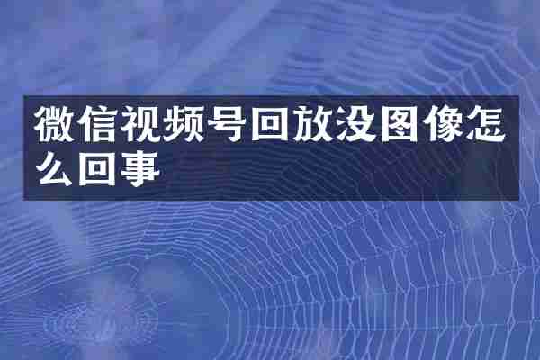微信视频号回放没图像怎么回事