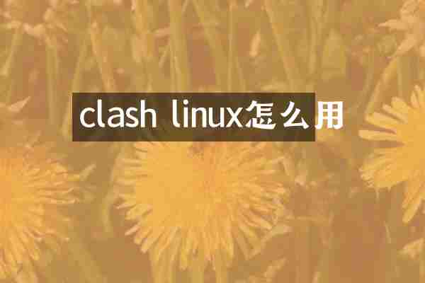 clash linux怎么用
