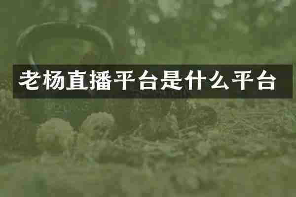 老杨直播平台是什么平台