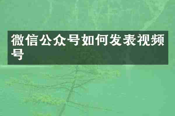 微信公众号如何发表视频号