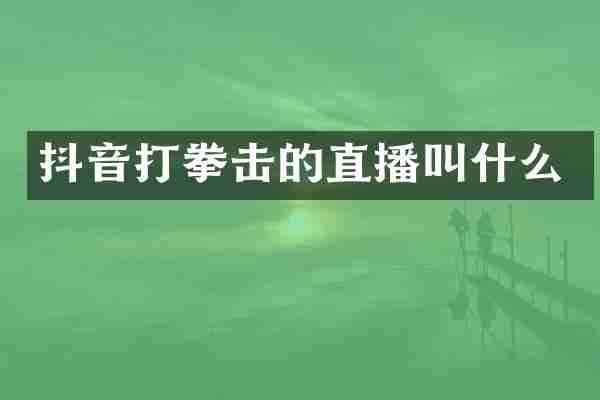 抖音打拳击的直播叫什么