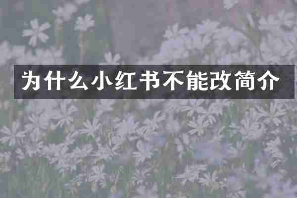 为什么小红书不能改简介