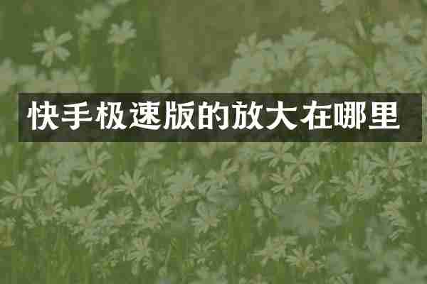快手极速版的放大在哪里