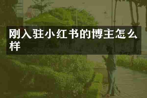 刚入驻小红书的博主怎么样