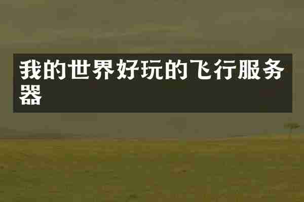 我的世界好玩的飞行服务器