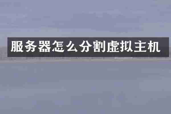 服务器怎么分割虚拟主机