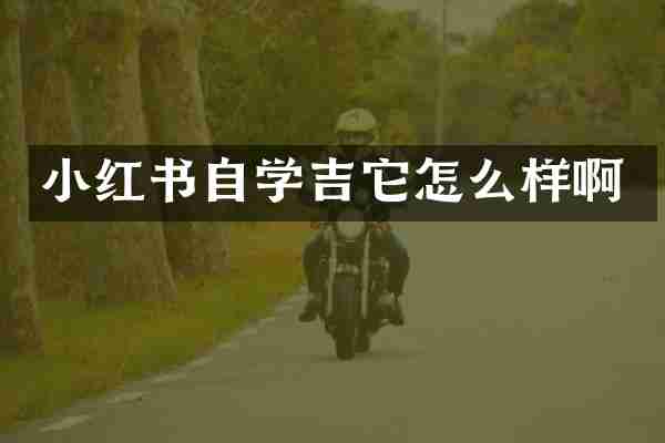 小红书自学吉它怎么样啊