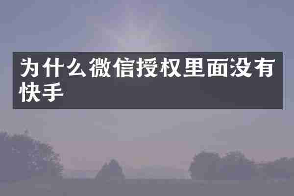 为什么微信授权里面没有快手