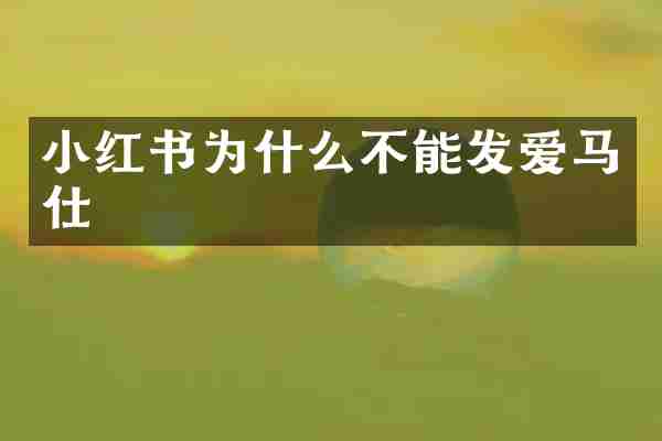 小红书为什么不能发爱马仕