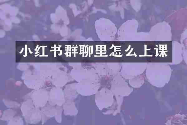 小红书群聊里怎么上课