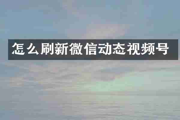 怎么刷新微信动态视频号
