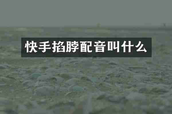 快手掐脖配音叫什么