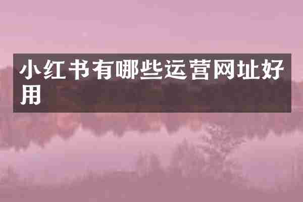 小红书有哪些运营网址好用