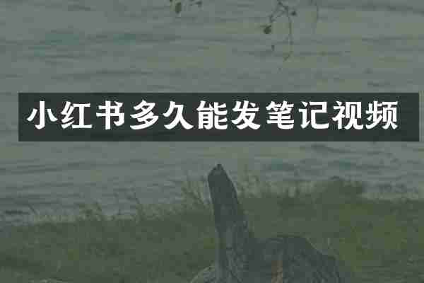 小红书多久能发笔记视频