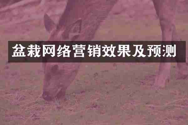 盆栽网络营销效果及预测