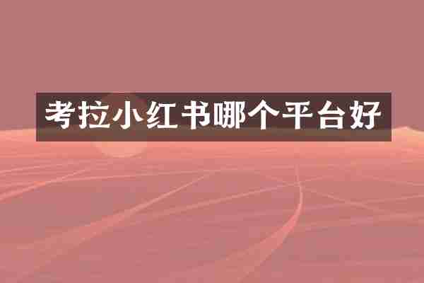 考拉小红书哪个平台好