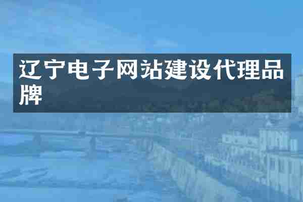 辽宁电子网站建设代理品牌