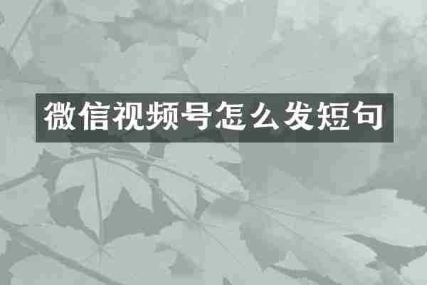 微信视频号怎么发短句