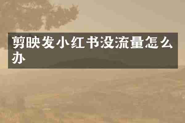 剪映发小红书没流量怎么办