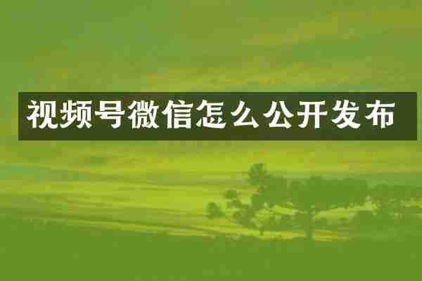 视频号微信怎么公开发布