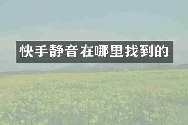 快手静音在哪里找到的